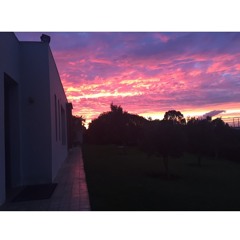 xx.951.m