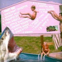 REAL AUTHENTIC WORDPLAY