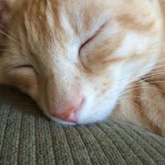 Monthira Toemprachum