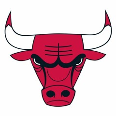 23Bulls23
