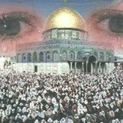 Ragab Dohdoh