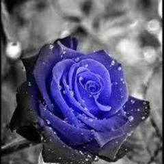 Frost :P