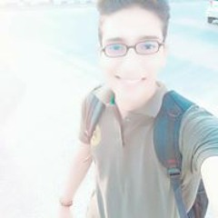 Ahmed M Elsalamony