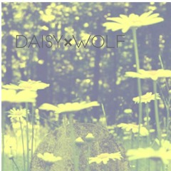 daisywolf