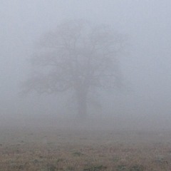 Twister Valley Records