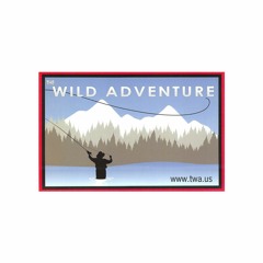 The Wild Adventure