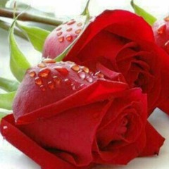 beshoy