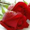 beshoy