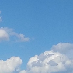 DayDreamerDaze