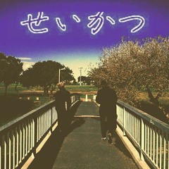 SEEK WCSA✪