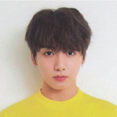 Noot Noot