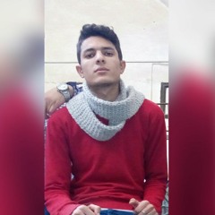 Islam Mahmoud