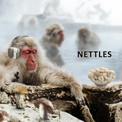 Ｎｅｔｔｌｅｓ Ｓｏｕｎｄ Ｄｅｓｉｇｎ