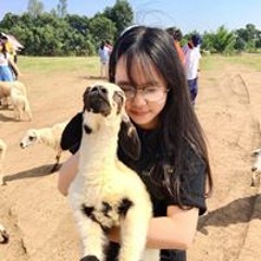 Thảo My