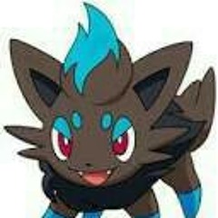 Sister zorua