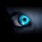 User 735023904