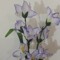 judy