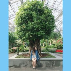 이솔