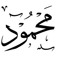 محمود الجيزاوي