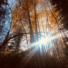 Blue Eyes and Bright Lights