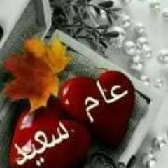 ابوعمرمحمداحمد البيلي