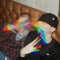 GAYPLAY FUCK12