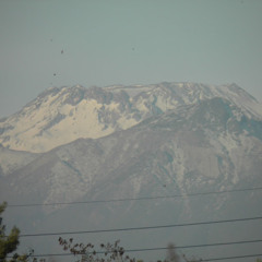 Franco González Guajardo