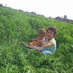 Abdalhamid Abdalhamid