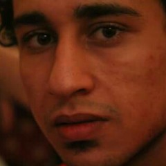 amr shawki