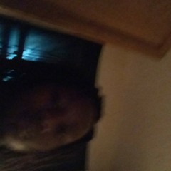 RoyaltyNation KingSwoop