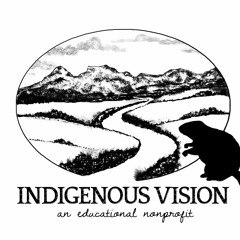 Indigenous Vision