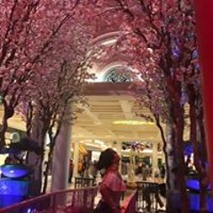 Isabel Dominguez-Aguayo