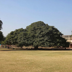 jawad zafar