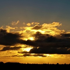 Dawn Autumn