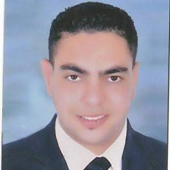 amr awed