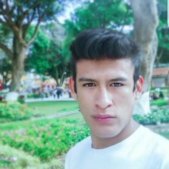 Levine Nazar Rojas