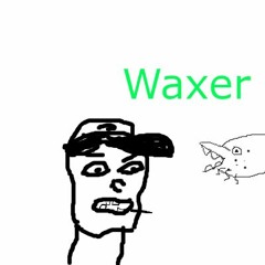 Waxer Trashbag