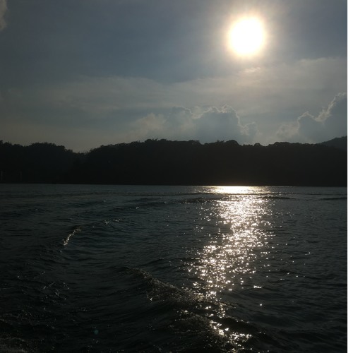 Stream School Bell Ringing Sound by Johnny Shinoda Listen online for