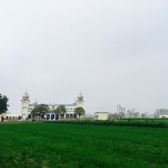 ਮੰਗਤ ਜਨ