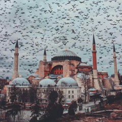 habibaelgndy