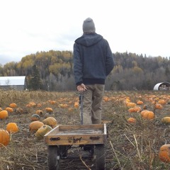 The Shawn Ardies Project