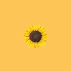 SunflowerKarennn