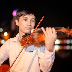 truongvi ha