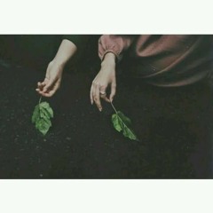 biii
