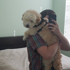 take 2 of rough draft funk groovr- 3:26:20, 7.33 PM