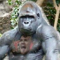 Jus Ufc
