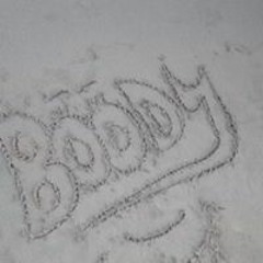 BolBol