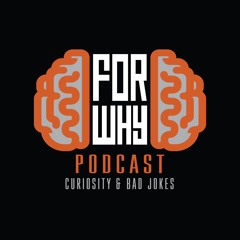 For Why Podcast