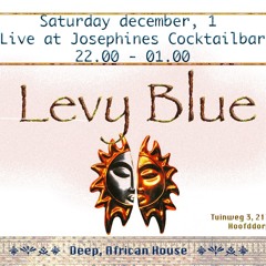 Levy Blue
