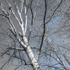 User 222520120